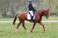 /album/vsestrannost-humpolec-18-19-7-2015/a140l-0313-millada-jpg/